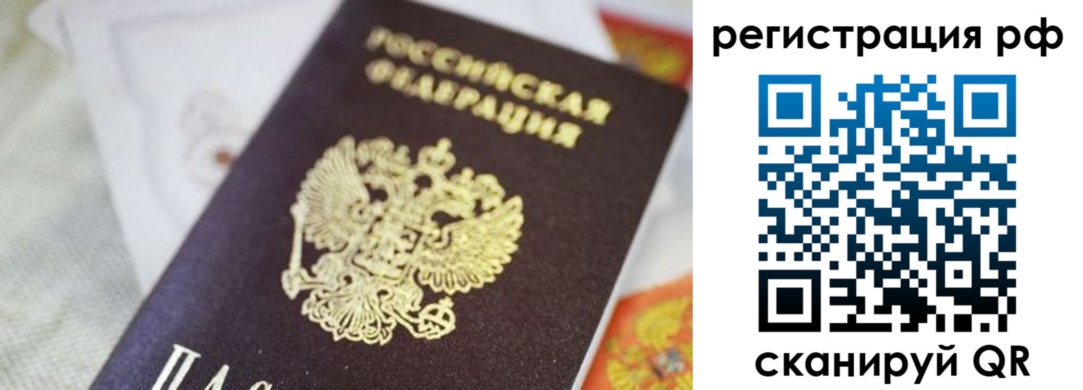 прописка гарантия в Дальнереченске